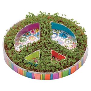 Creativity For Kids Plant A Peace Garden Kit